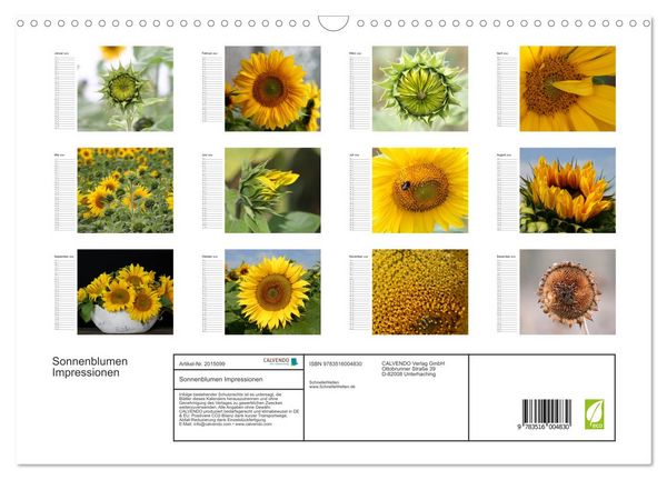 Produktbild: Sonnenblumen Impressionen (Wandkalender 2026 DIN A3 quer), CALVENDO Monatskalender