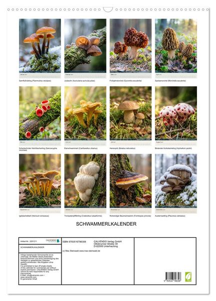 Produktbild: SCHWAMMERLKALENDER (Wandkalender 2027 DIN A2 hoch), CALVENDO Monatskalender
