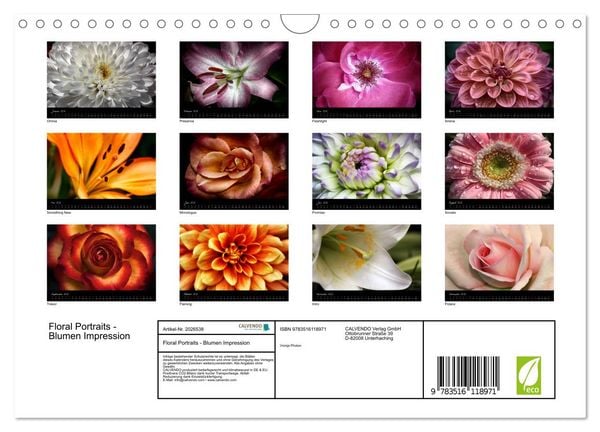 Produktbild: Floral Portraits - Blumen Impression (Wandkalender 2026 DIN A4 quer), CALVENDO Monatskalender