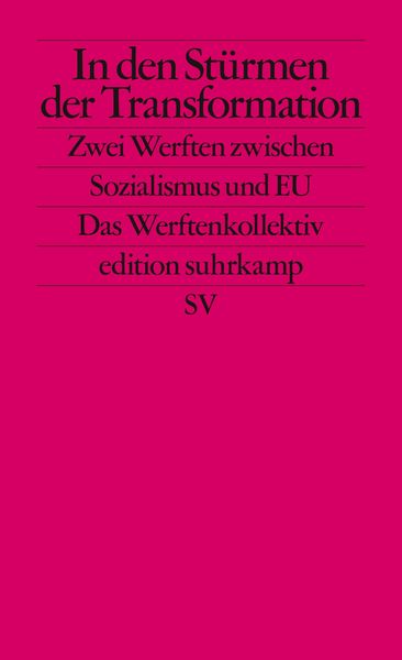 Produktbild: In den St&uuml;rmen der Transformation