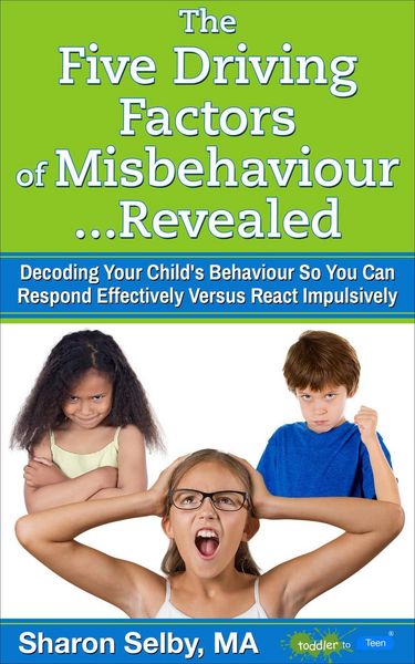 Produktbild: The Five Driving Factors of Misbehaviour Revealed
