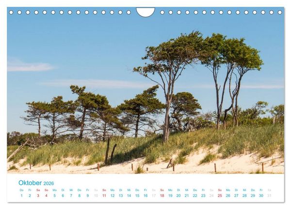 Produktbild: Der Dar&szlig; Kalender (Wandkalender 2026 DIN A4 quer), CALVENDO Monatskalender