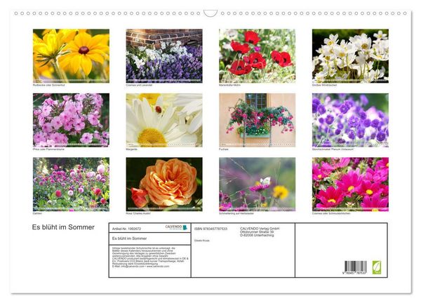 Produktbild: Es bl&uuml;ht im Sommer (Wandkalender 2026 DIN A2 quer), CALVENDO Monatskalender