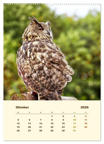 Produktbild: Uhu, die Faszination bernsteinfarbener Augen (Wandkalender 2026 DIN A2 hoch), CALVENDO Monatskalender