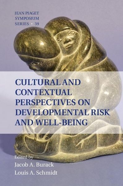 Produktbild: Cultural and Contextual Perspectives on Developmental Risk and Well-Being