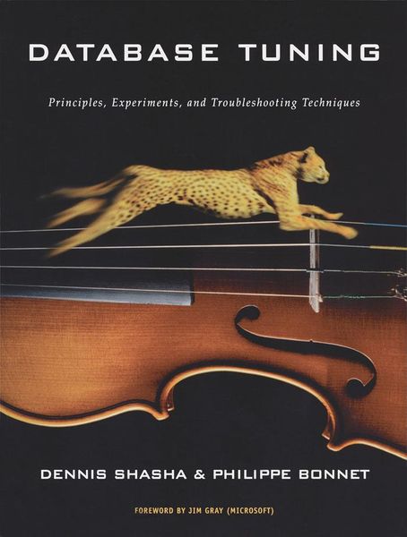 Produktbild: Database Tuning