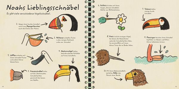 Produktbild: Natur vor der T&uuml;r. Noah zeigt dir die V&ouml;gel