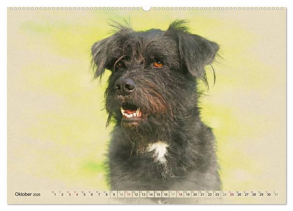 Produktbild: Altdeutsche H&uuml;tehunde 2026 (hochwertiger Premium Wandkalender 2026 DIN A2 quer), Kunstdruck in Hochglanz