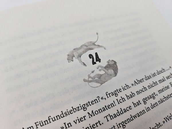 Produktbild: Raybearer – Die Masken der Aiyetoro