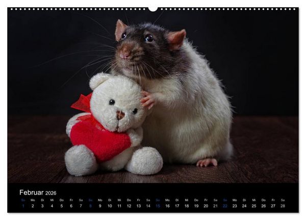 Produktbild: Ratten. Die gro&szlig;e Welt der kleinen Nager (hochwertiger Premium Wandkalender 2026 DIN A2 quer), Kunstdruck in Hochglanz