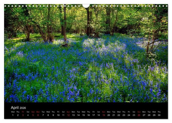 Produktbild: New Forest Hampshire (Wall Calendar 2026 DIN A3 landscape), CALVENDO 12 Month Wall Calendar