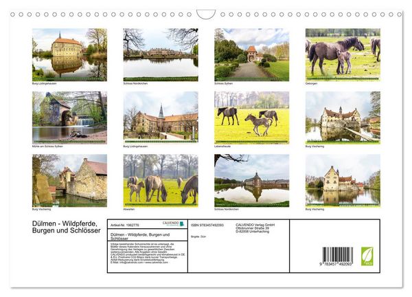 Produktbild: D&uuml;lmen - Wildpferde, Burgen und Schl&ouml;sser (Wandkalender 2026 DIN A3 quer), CALVENDO Monatskalender
