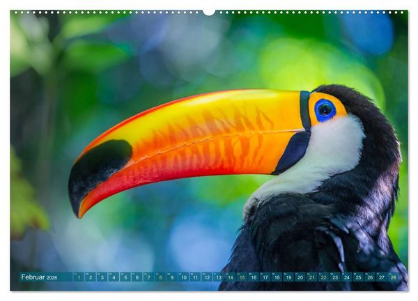 Produktbild: Der Amazonas: von den Anden zum Atlantik (Wandkalender 2026 DIN A2 quer), CALVENDO Monatskalender