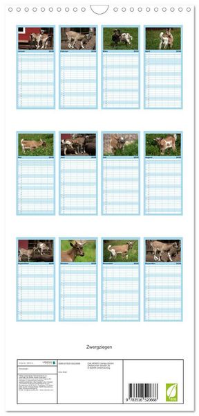 Produktbild: Familienplaner 2026 - Zwergziegen mit 5 Spalten (Wandkalender, 21 x 45 cm) CALVENDO