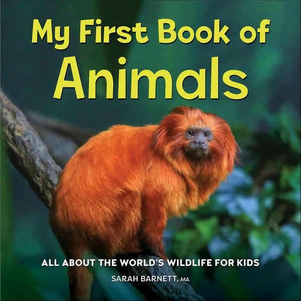 Produktbild: My First Book of Animals