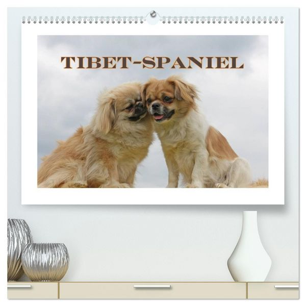 Produktbild: Tibet-Spaniel (hochwertiger Premium Wandkalender 2026 DIN A2 quer), Kunstdruck in Hochglanz
