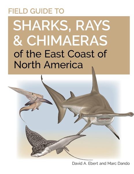 Produktbild: Field Guide to Sharks, Rays and Chimaeras of the East Coast of North America
