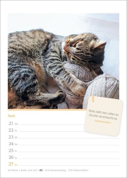 Produktbild: Katzengl&uuml;ck Wochenkalender 2027 - mit Zitaten