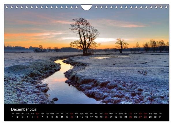 Produktbild: New Forest Hampshire (Wall Calendar 2026 DIN A4 landscape), CALVENDO 12 Month Wall Calendar