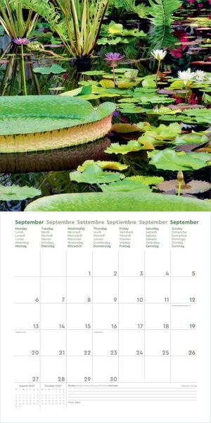 Produktbild: Aufgebl&uuml;ht - KUNTH Broschurkalender 2027