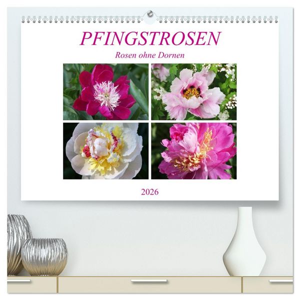 Produktbild: PFINGSTROSEN Rosen ohne Dornen (hochwertiger Premium Wandkalender 2026 DIN A2 quer), Kunstdruck in Hochglanz