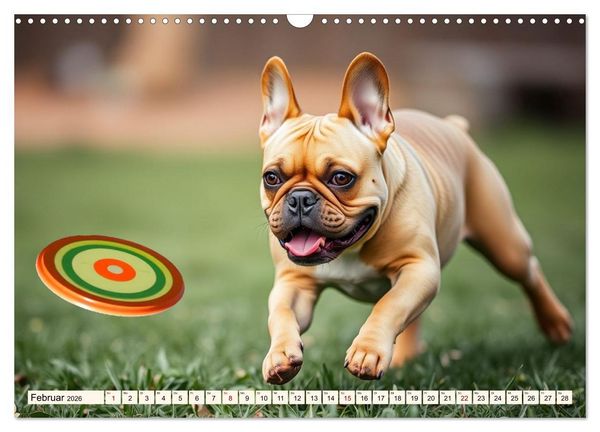 Produktbild: Frenchies in Spiellaune (Wandkalender 2026 DIN A3 quer), CALVENDO Monatskalender