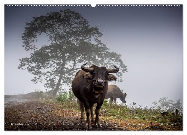 Produktbild: Vietnam und Kambodscha - Magische Momente. (hochwertiger Premium Wandkalender 2026 DIN A2 quer), Kunstdruck in Hochglanz