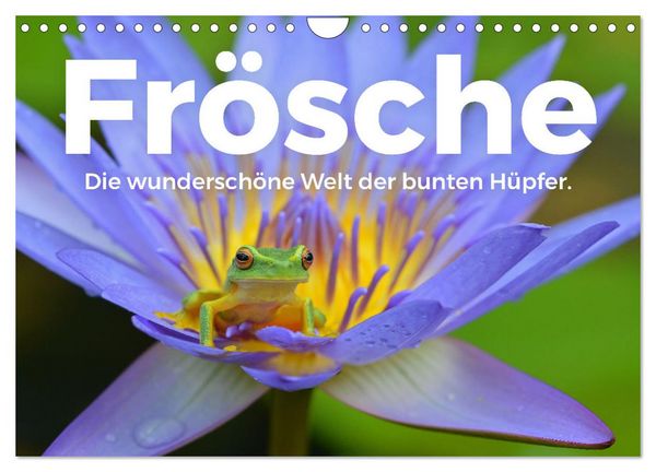 Produktbild: Fr&ouml;sche - Die wundersch&ouml;ne Welt der bunten H&uuml;pfer. (Wandkalender 2026 DIN A4 quer), CALVENDO Monatskalender