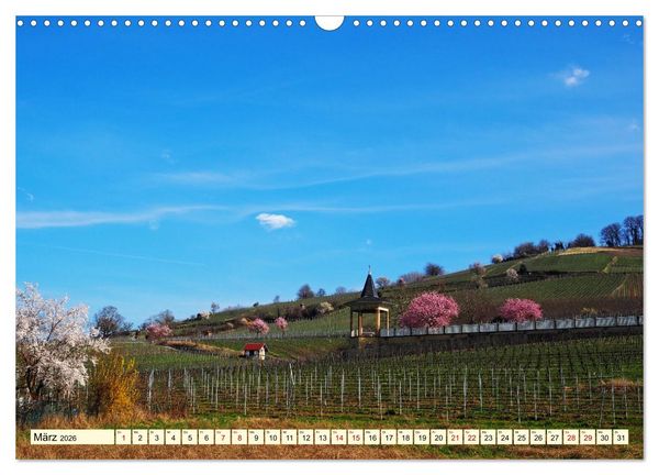 Produktbild: Heppenheim - Weinstadt unter der Starkenburg (Wandkalender 2026 DIN A3 quer), CALVENDO Monatskalender