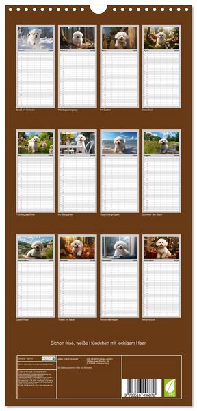Produktbild: Familienplaner 2026 - Bichon fris&eacute;, wei&szlig;e H&uuml;ndchen mit lockigem Haar mit 5 Spalten (Wandkalender, 21 x 45 cm) CALVENDO