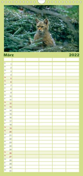 Produktbild: Familienplaner Tiere des Waldes (Wandkalender 2022 , 21 cm x 45 cm, hoch)