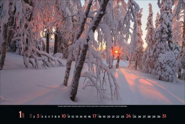 Produktbild: Magische W&auml;lder 2027