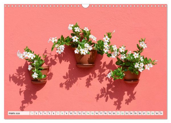 Produktbild: Burano et Minimalisme (Calendrier mural 2026 DIN A3 vertical), CALVENDO calendrier mensuel