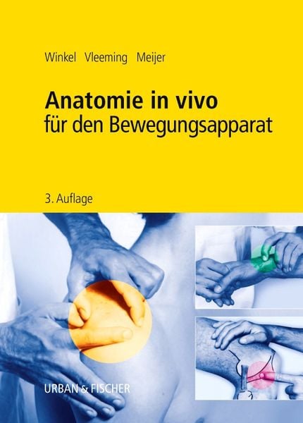 Anatomie in vivo für den Bewegungsapparat