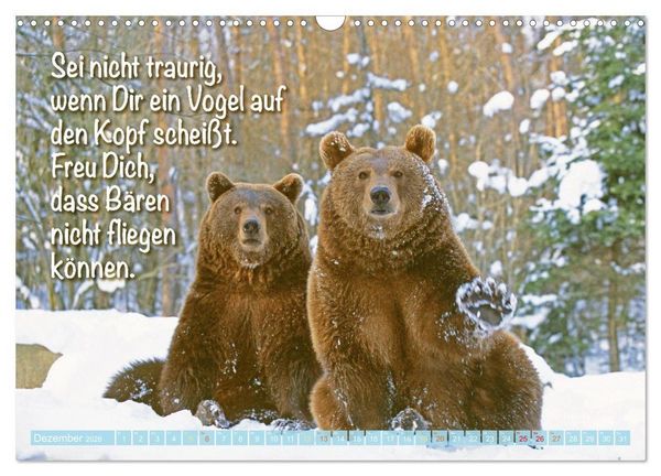 Produktbild: Spa&szlig; mit B&auml;ren: Edition lustige Tiere (Wandkalender 2026 DIN A3 quer), CALVENDO Monatskalender
