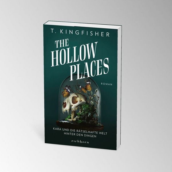 Produktbild: The Hollow Places