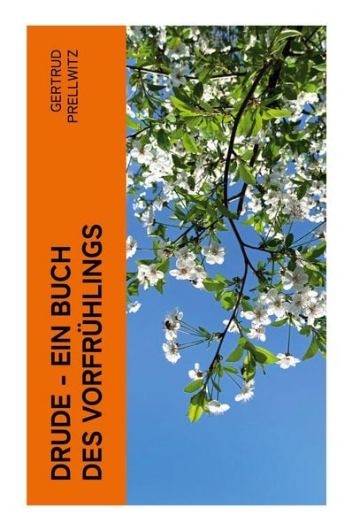 Produktbild: Drude - Ein Buch des Vorfr&uuml;hlings