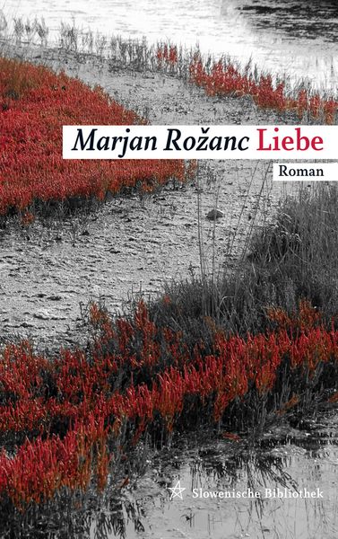 Produktbild: Liebe