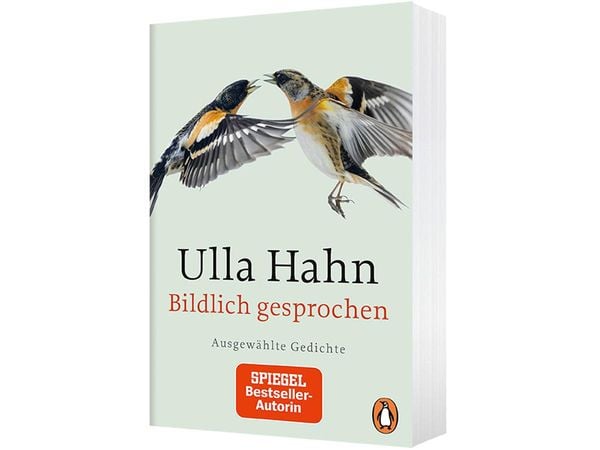 Produktbild: Bildlich gesprochen
