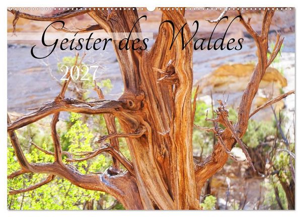 Produktbild: Geisterb&auml;ume (Wandkalender 2027 DIN A2 quer), CALVENDO Monatskalender