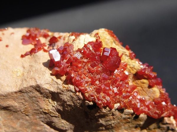 Produktbild: Metalle und Mineralien als Heilmittel