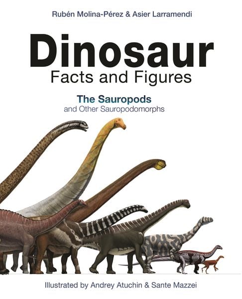 Produktbild: Dinosaur Facts and Figures