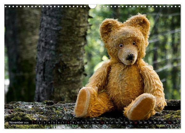 Produktbild: Neue Abenteuer von Teddy Basse (Wandkalender 2026 DIN A3 quer), CALVENDO Monatskalender