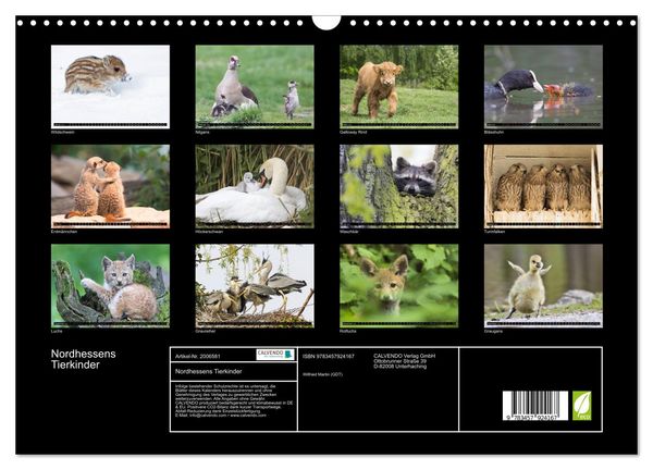 Produktbild: Nordhessens Tierkinder (Wandkalender 2026 DIN A3 quer), CALVENDO Monatskalender