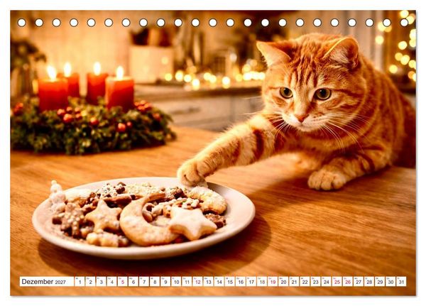 Produktbild: Rote Katzen (Tischkalender 2027 DIN A5 quer), CALVENDO Monatskalender