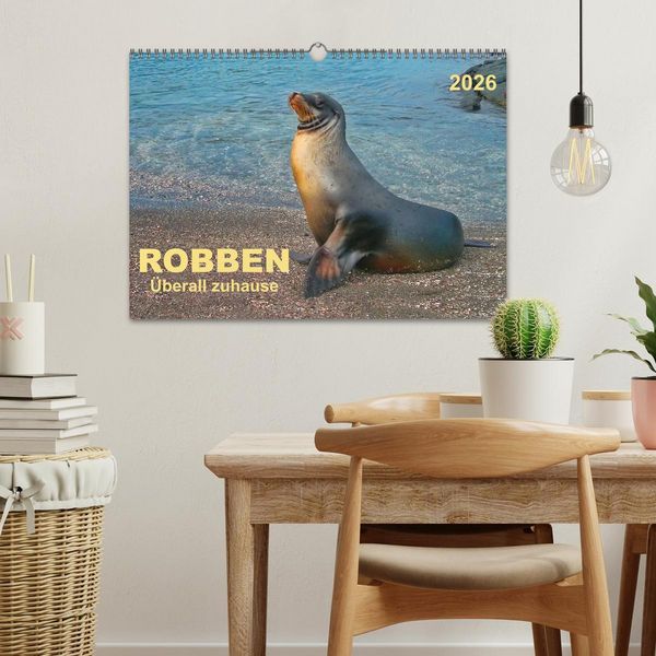 Produktbild: Robben - &uuml;berall zuhause (Wandkalender 2026 DIN A3 quer), CALVENDO Monatskalender