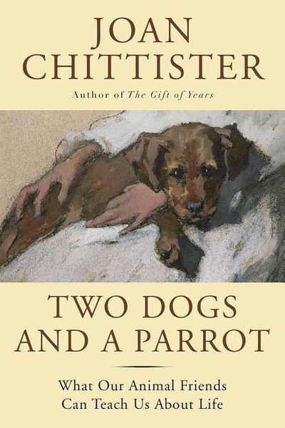 Produktbild: Two Dogs and a Parrot