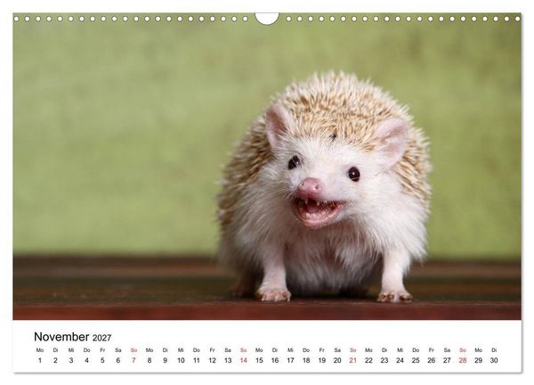 Produktbild: lach mit...just smile (Wandkalender 2027 DIN A3 quer), CALVENDO Monatskalender