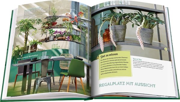 Produktbild: Pflanzen ganz privat