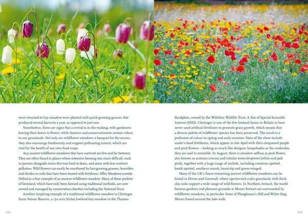 Produktbild: The Nature Lover's Bucket List